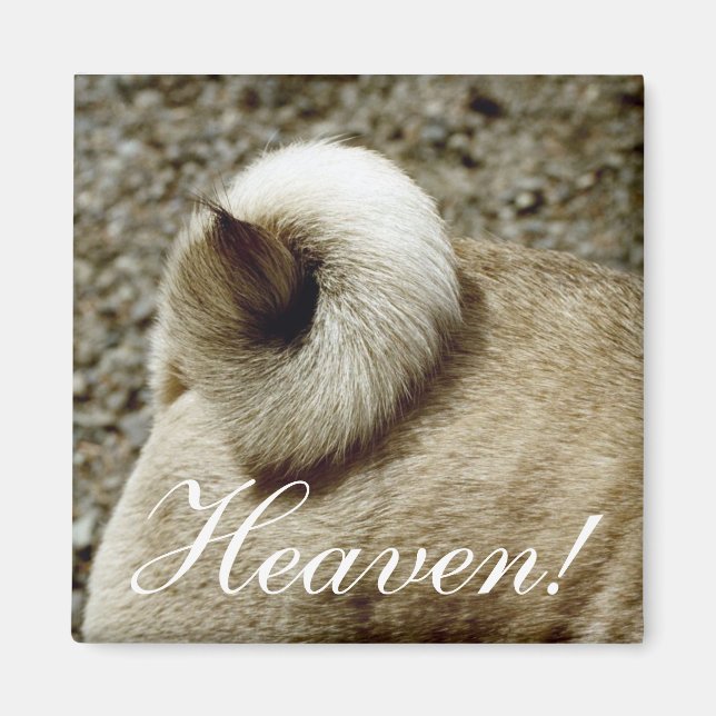 Imã Céu! Íman (Frente)