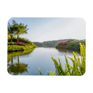 Ímã Céu refletido no lago tropical imóvel