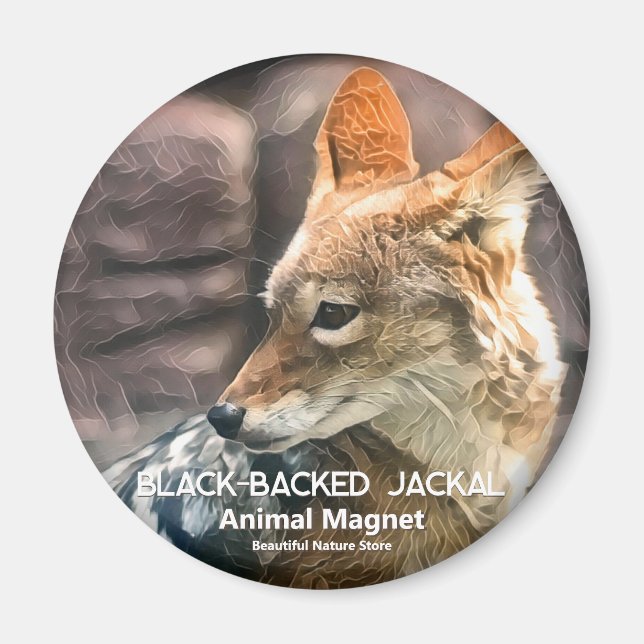 Imã Chacal-de-dorso-preto (Frente)