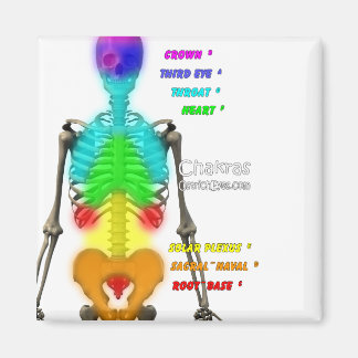Imã Chakras Skeleton Magnet