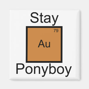 Imã Chalaça Dourado do elemento de Ponyboy da estada