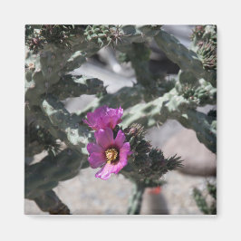 Imã Challa Cactus em flor