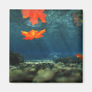 Imã Chama no ímã de água