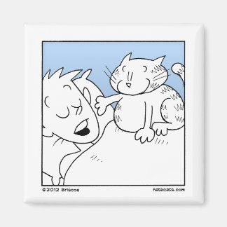 Imã Chamada de Acordar de Cat