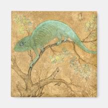 Chameleon (Lizard) (Réptil) (Arte Mughal) (Asiátic