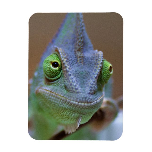 Ímã Chameleon velado (Vertical)