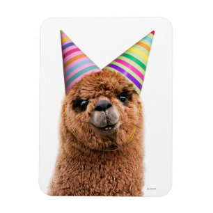 Ímã Chapéus do Partido Vestindo Alpaca