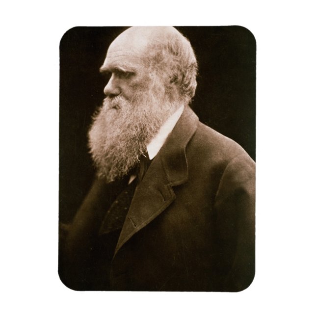 Ímã Charles Darwin (1809-82) (fotografia) (Vertical)