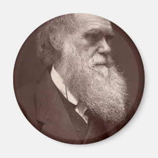 Imã Charles Darwin Magnet