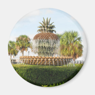 Imã Charleston SC Pineapple Fountain, Waterfront Park
