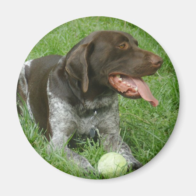 Imã Charlie Magnet (Frente)