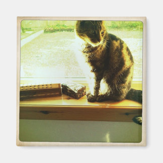 Imã Charlie Na Janela