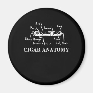 Imã Charuto Anatomia Fumante Humidor Cortador Charutos