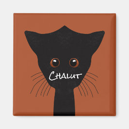 Imã chat noir