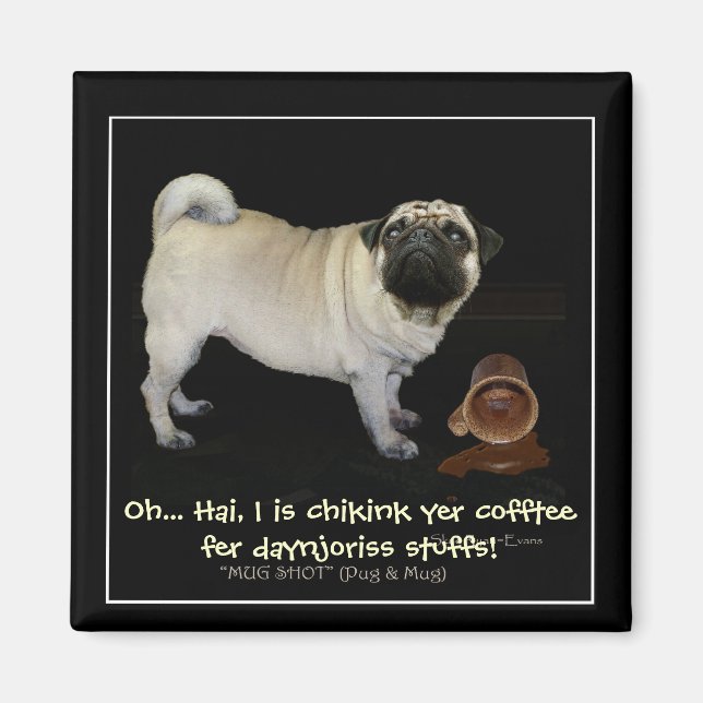 Imã "Checando seu Café..." Divertimento (Frente)