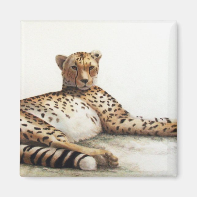 Imã Cheetah (Frente)