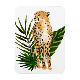 Ímã Cheetah Outlook