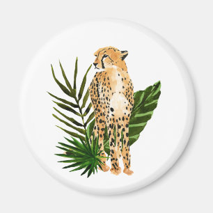 Imã Cheetah Outlook