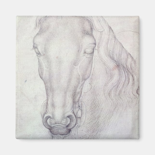 Imã Chefe de Cavalo (Frente)