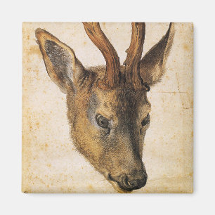Imã Chefe de Stag (Wild Animal) (por Albrecht Durer)