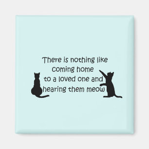 Imã Chegando em casa a um gato