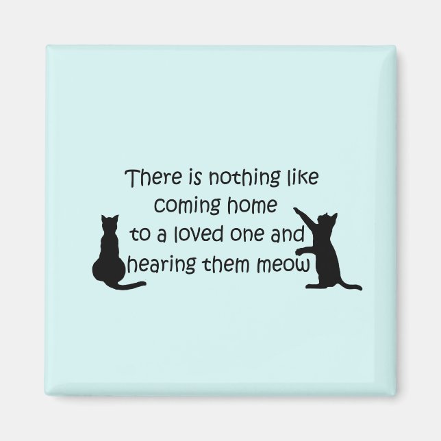 Imã Chegando em casa a um gato (Frente)