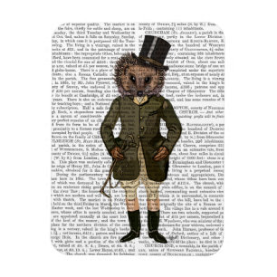 Ímã Cheio de cavaleiro Hedgehog