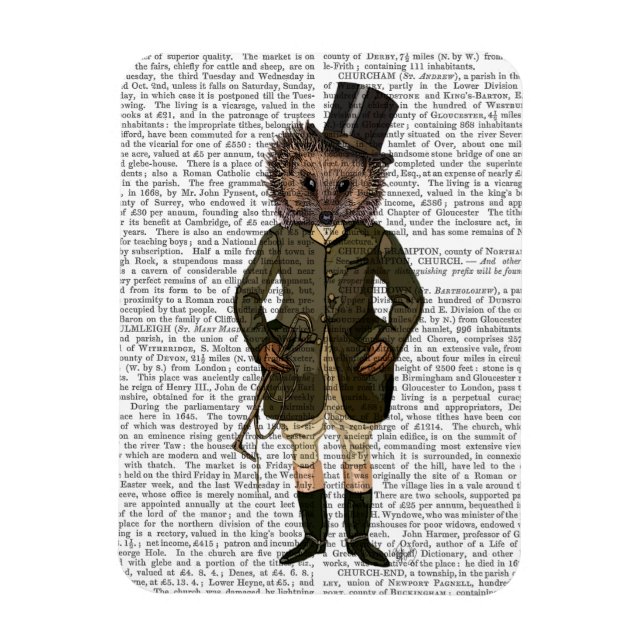 Ímã Cheio de cavaleiro Hedgehog (Vertical)