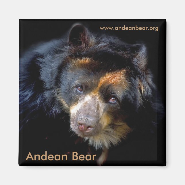 Imã Cheri McEachin Magnet (Frente)