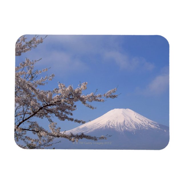 Ímã Cherry Blossom e Monte Fuji 2 (Horizontal)