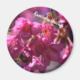 Imã Cherry Blossom e uma abelha