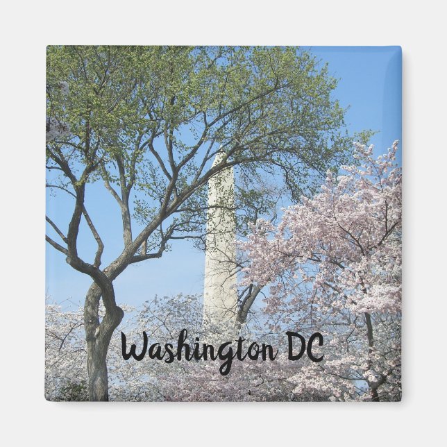 Imã Cherry Blossoms e o Monumento de Washington em DC (Frente)