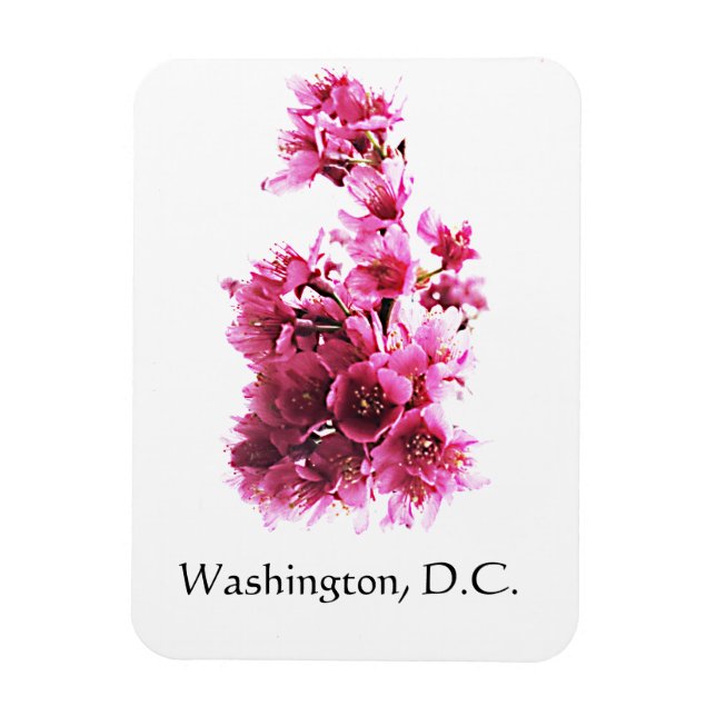 Ímã Cherry floresce em Washington, DC. (Vertical)