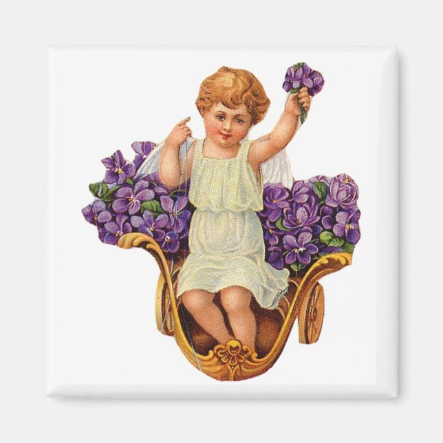 Imã Cherub e Lâminas Roxas (Frente)