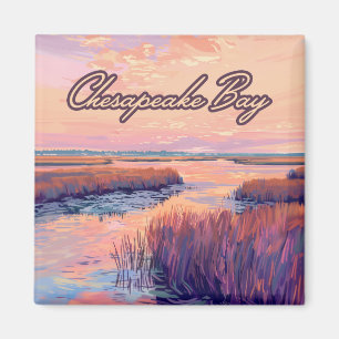 Imã Chesapeake Bay Annapolis Maryland Virginia Sunrise