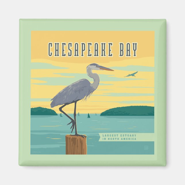 Imã Chesapeake Bay Largest Estuary In North America (Frente)