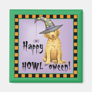 Imã Chessie Witch Magnet