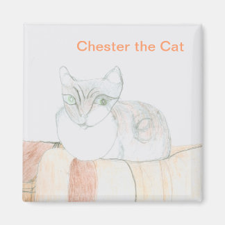 Imã Chester, o Gato - Magneta Quadrada