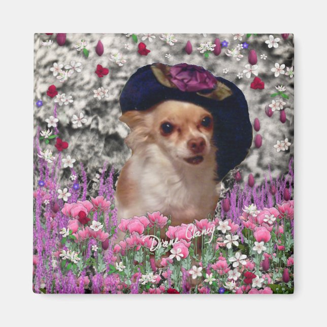 Imã Chi Chi in Flowers - Chihuahua Puppy no Chapéu Bon (Frente)