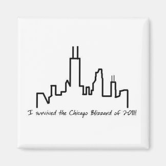 Imã Chicago Blizzard 2011 - Magnet