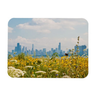 Ímã Chicago como visto do pássaro do porto de Montros