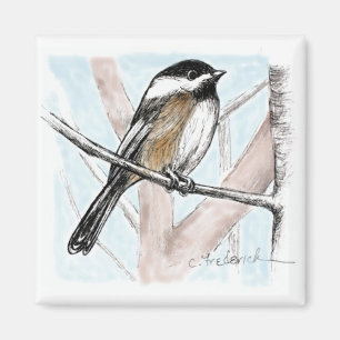 Imã Chickadee