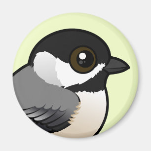 Imã Chickadee de Carolina