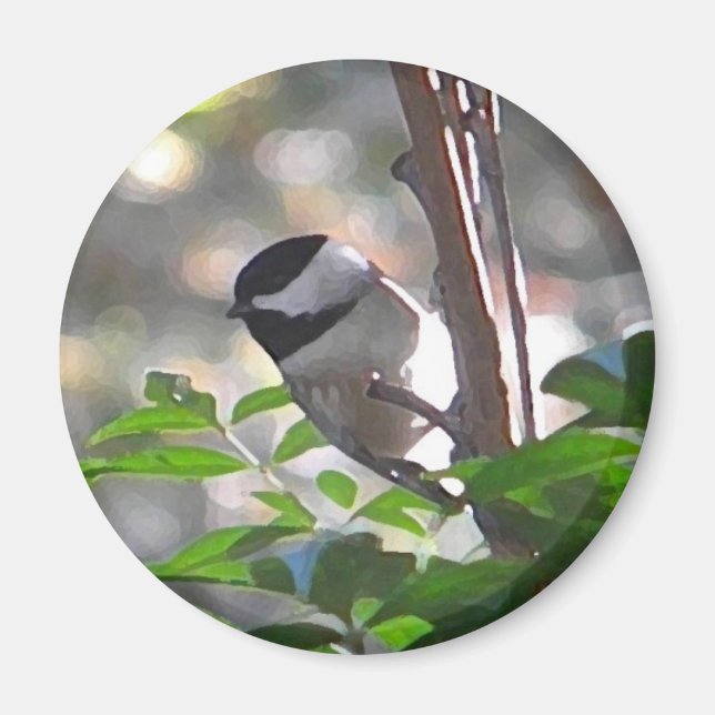 Imã Chickadee Magnet (Frente)