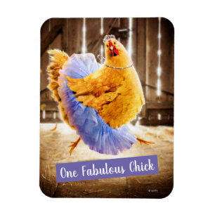 Ímã Chicken in a Tutu