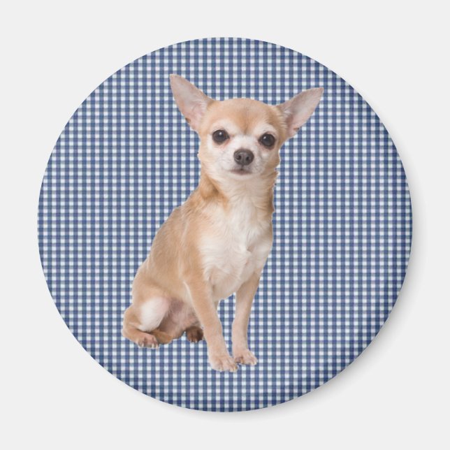 Imã Chihuahua (Frente)