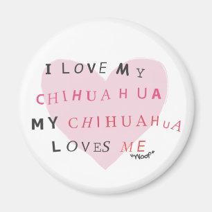 Imã Chihuahua