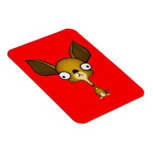 Ímã Chihuahua