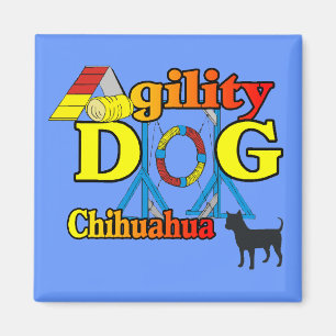 Imã Chihuahua_Agility