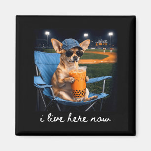 Imã Chihuahua bebe café gelado campo de beisebol ao vi